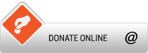 Online donation Form